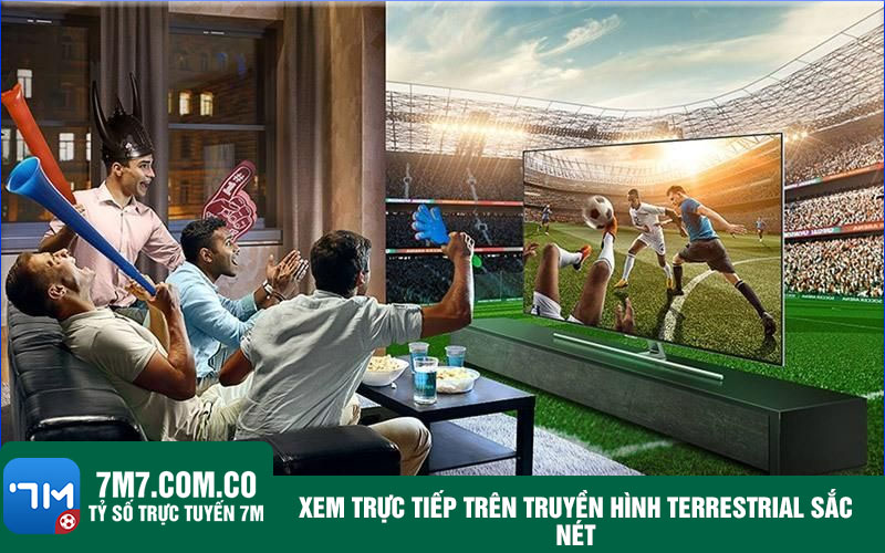 Xem truc tiep tren truyen hinh terrestrial sac net Xem trực tiếp trên truyền hình terrestrial sắc nét