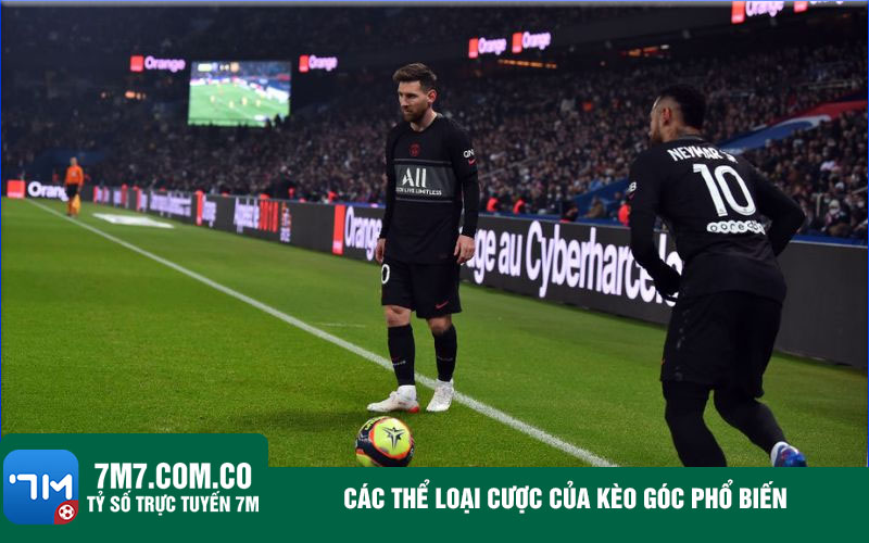 Cac the loai cuoc cua keo goc pho bien Các thể loại cược của kèo góc phổ biến